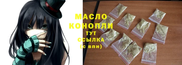 скорость Ельня