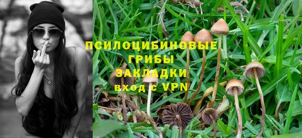скорость Ельня