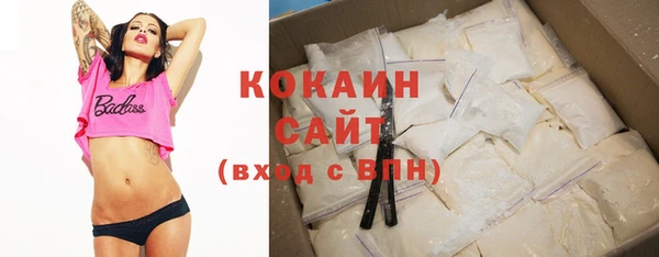 мяу мяу мука Дмитриев