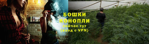 скорость Елизово