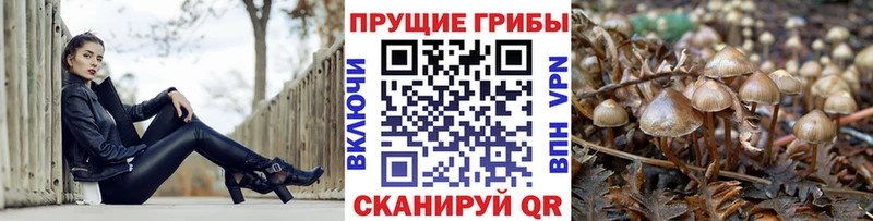 Псилоцибиновые грибы ЛСД Ува
